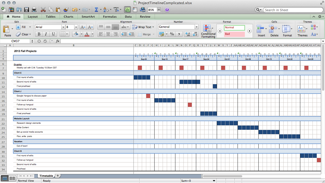 Creating A Timeline In Ms Project Vsacoastal